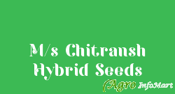 M/s Chitransh Hybrid Seeds
