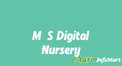 M/S Digital Nursery