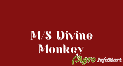 M/S Divine Monkey