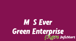 M/S Ever Green Enterprise