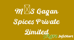 M/S Gagan Spices Private Limited ghaziabad india