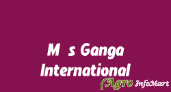 M/s Ganga International agra india