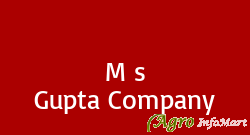 M s Gupta Company rohtak india