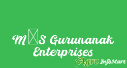 M/S Gurunanak Enterprises