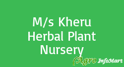 M/s Kheru Herbal Plant Nursery