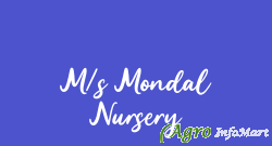 M/s Mondal Nursery