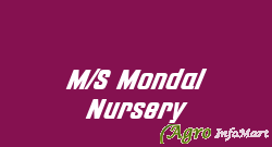 M/S Mondal Nursery