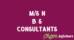 M/S N B S Consultants