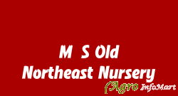 M/S Old Northeast Nursery