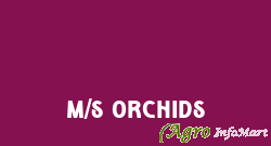 M/S Orchids