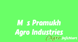 M/s Pramukh Agro Industries