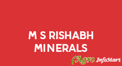 M/s Rishabh Minerals