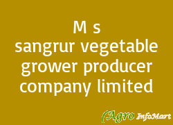 M s sangrur vegetable grower producer company limited
