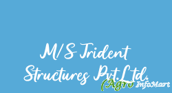 M/S Trident Structures Pvt.Ltd. noida india