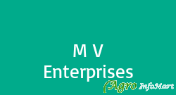 M V Enterprises