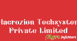 Macrozion Techsystem Private Limited