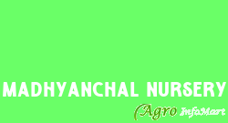 Madhyanchal Nursery