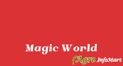 Magic World pune india