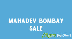 Mahadev Bombay Sale vadodara india
