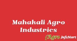 Mahakali Agro Industries ahmedabad india