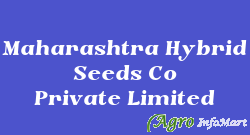 Maharashtra Hybrid Seeds Co Private Limited