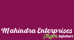 Mahindra Enterprises