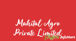 Mahital Agro Private Limited delhi india