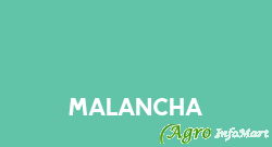 Malancha kolkata india