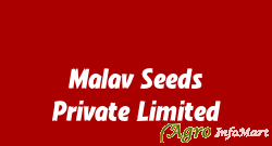 Malav Seeds Private Limited indore india
