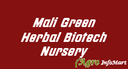Mali Green Herbal Biotech Nursery