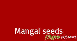 Mangal seeds rajkot india