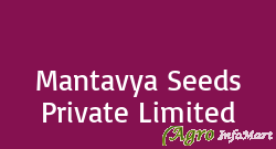 Mantavya Seeds Private Limited gandhinagar india