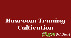 Masroom Traning Cultivation