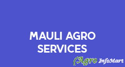 Mauli Agro Services nashik india