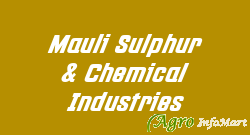 Mauli Sulphur & Chemical Industries mumbai india