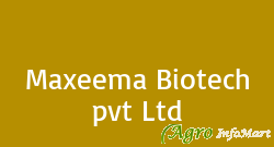 Maxeema Biotech pvt Ltd ahmedabad india