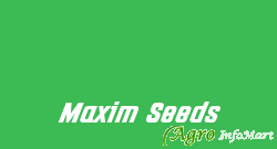 Maxim Seeds