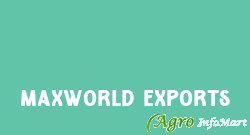Maxworld Exports chennai india