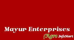Mayur Enterprises nashik india