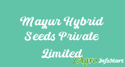 Mayur Hybrid Seeds Private Limited indore india
