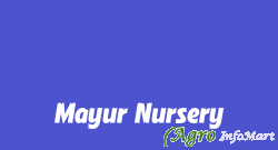 Mayur Nursery kolhapur india