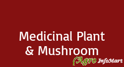 Medicinal Plant & Mushroom