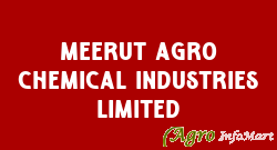 Meerut Agro Chemical Industries Limited delhi india