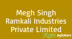 Megh Singh Ramkali Industries Private Limited