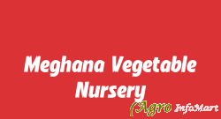 Meghana Vegetable Nursery