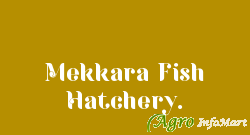 Mekkara Fish Hatchery. thrissur india