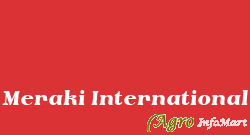 Meraki International delhi india