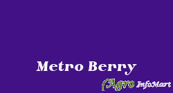 Metro Berry navi mumbai india