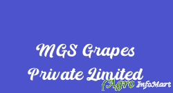 MGS Grapes Private Limited