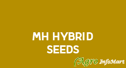Mh Hybrid Seeds